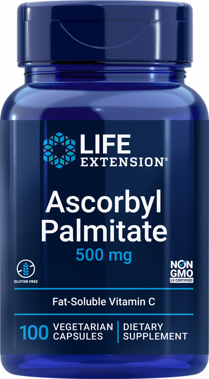 Ascorbyl Palmitate 500 mg, 100 vegetarian capsules #1533