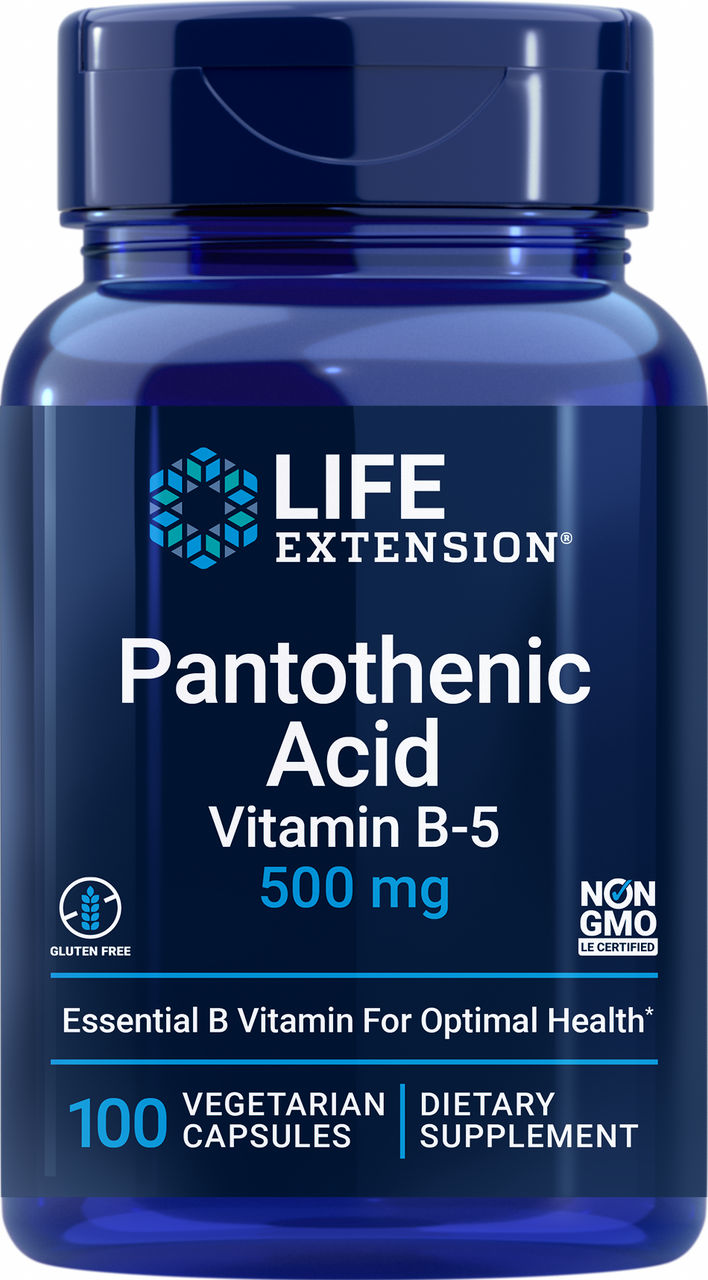 Pantothenic Acid Vitamin B-5 500 mg, 100 vegetarian capsules #2028
